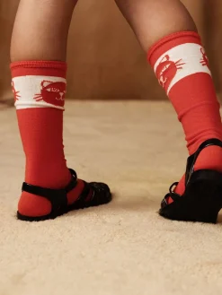 Cats Knee-high socks