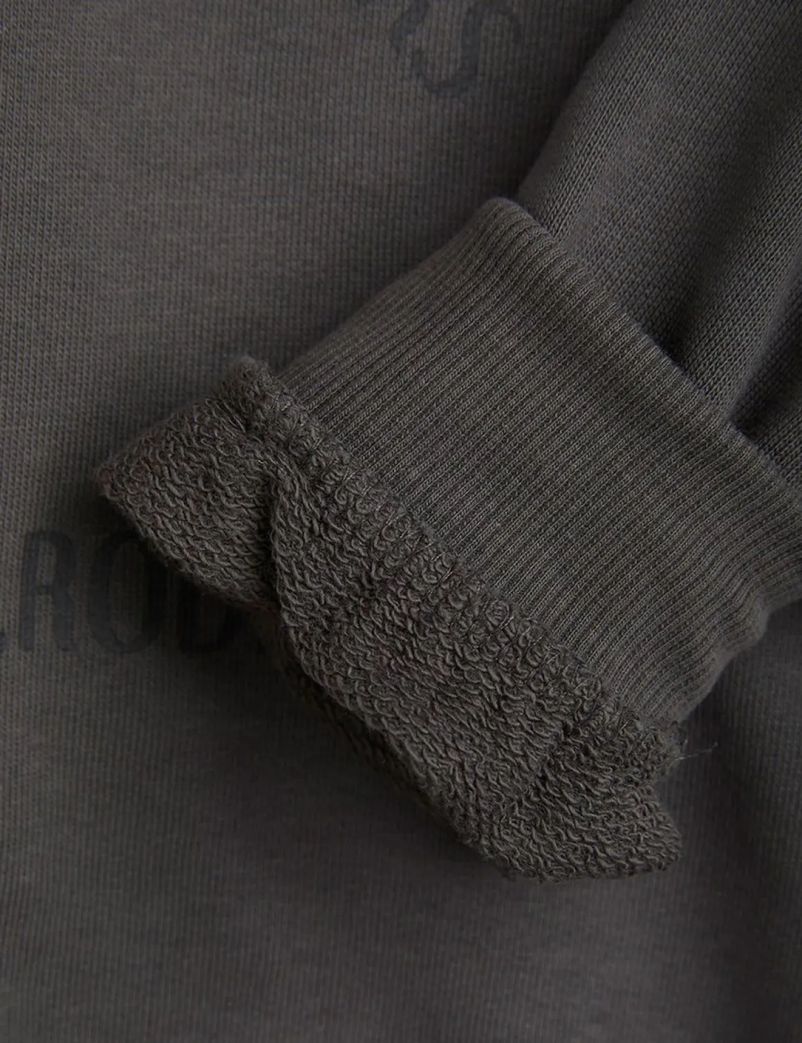 Pigeon Sweatshirt Grey