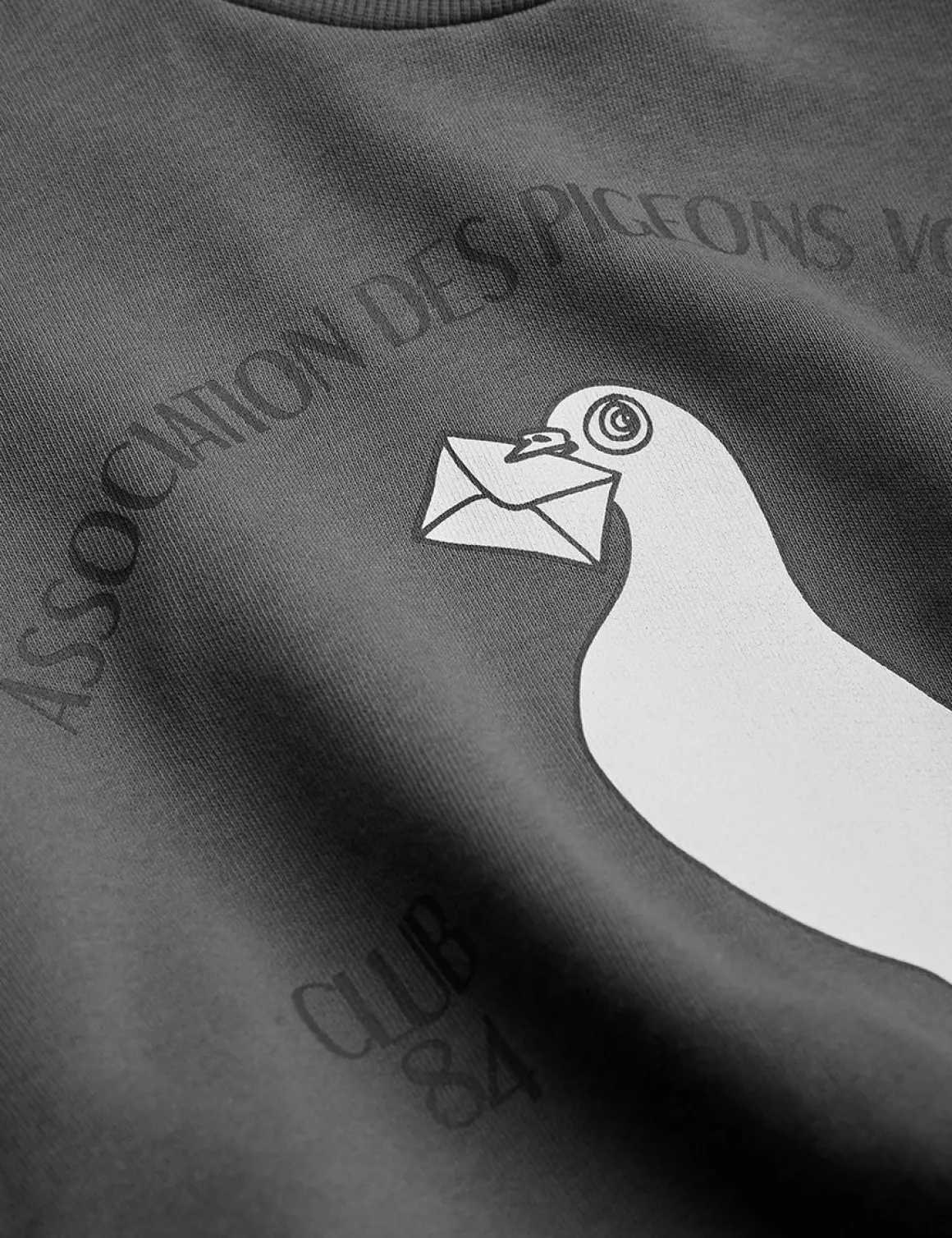 Pigeon Sweatshirt Grey