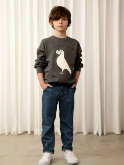 Pigeon Sweatshirt Grey