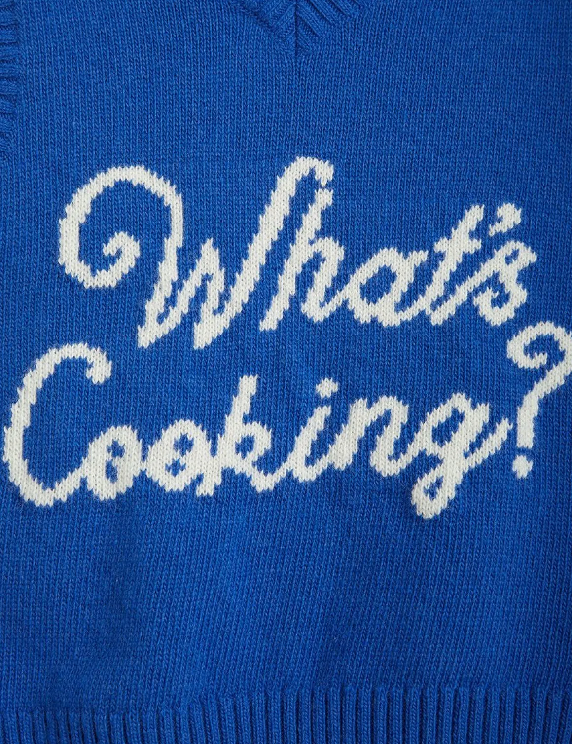 What's Cooking Sweater Vest